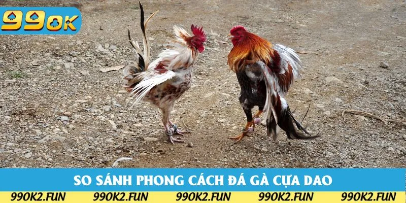 So sánh các phong cách thi đấu chọi kê cựa dao So sánh các phong cách thi đấu chọi kê cựa dao