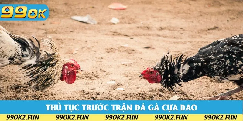 Thủ tục - quy tắc cần nắm khi bắt đầu tham gia chọi kê cựa dao Thủ tục - quy tắc cần nắm khi bắt đầu tham gia chọi kê cựa dao