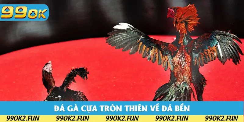 Đá gà cựa tròn thiên về đánh bền nhưng vẫn đảm bảo kịch tính