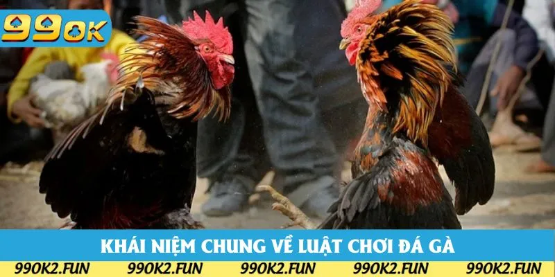 Những khái niệm chung khi tìm hiểu về luật chơi đá gà