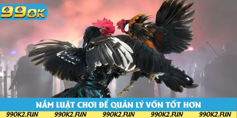 Nắm luật chơi là cách bạn quản lý vốn tốt hơn