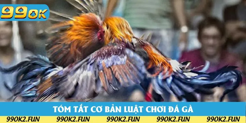 Tóm tắt các cơ bản trong luật chơi đá gà 